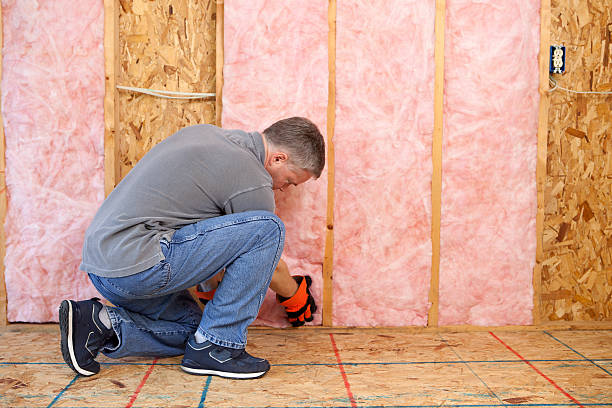 Best Insulation Maintenance and Repair in Marquette, MI