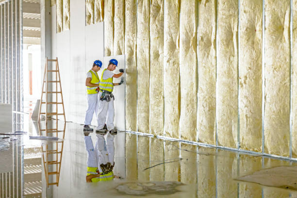 Types of Insulation We Offer in MI